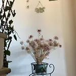 Venetia's Stone House Apartament *